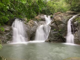 西表島 ジャングル ハイキング 八重山諸島 沖縄県