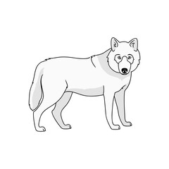 wolf, arctic animal symbol of stregth power gray dangerous predator logo knowledge aout nature vector illustration isolated