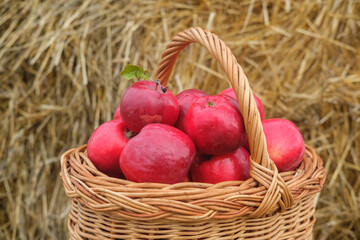 fresh red apples in a wicker basket