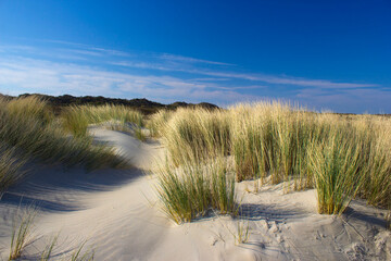 les dunes, Renesse, Zélande, Pays-Bas