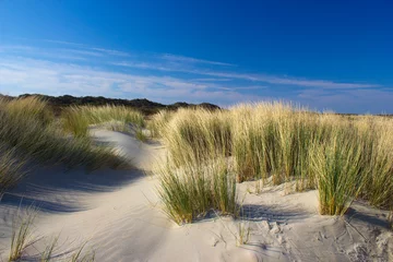 Gartenposter Nordsee, Niederlande the dunes, Renesse, Zeeland, the Netherlands