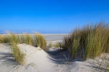 Papier Peint photo Lavable Mer du Nord, Pays-Bas les dunes, Renesse, Zélande, Pays-Bas