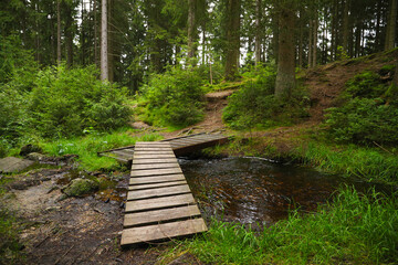 Obraz premium A bridge on hiking trail 