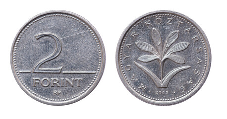 Coin 2 forints. epublic of Hungary. 2003