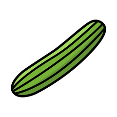 cucumber - vegetables icon vector design template