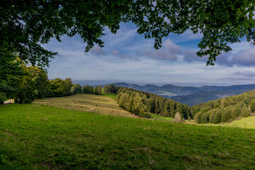 Herbstliches Erwachen am Rennsteig bei schönstem Wetter