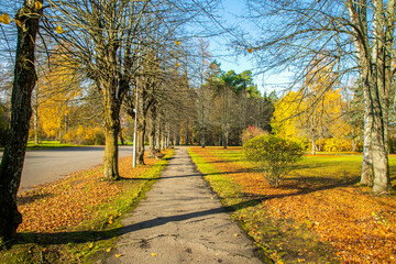 Park an autumn trees without leaves