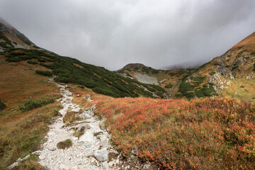 Hiking trail. Žiar valley in the Western Tatras in Slovakia. 