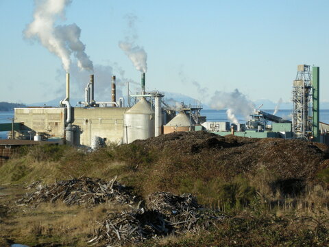 Paper pulp mill factory. Vancouver Island, British Columbia, BC, Canada.