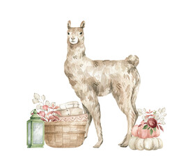 Watercolor composition with cute llama, basket with clothes, pumpkins and flower bouquet. Fall aesthetic