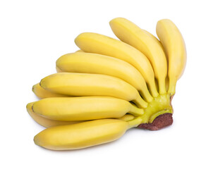 Bunch of bananas isolated