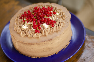 sweet cream chocolate cake dessert with currants on a plate 