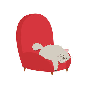 cat sleep on red sofa