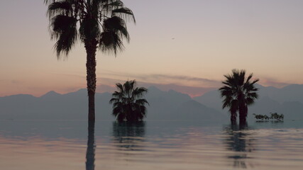 Fototapeta na wymiar A reflective open pool limit in front of palm trees and mountain evening scenery