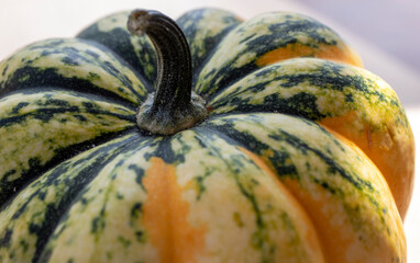 Close-up macro photo of a pumpkin in green and yellow hues, isolated from the background.