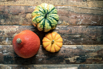Pumpkin in orange, yellow, green and red colors.