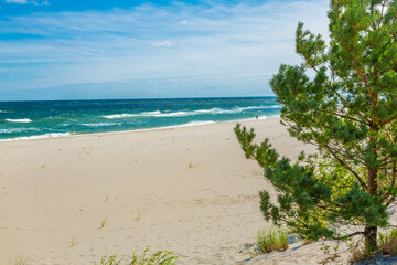 Fototapeta na wymiar Summer landscape. A lonely beach with white sand and blue sea. View of Baltic sea coast. Hel, Peninsula, Pomerania, Poland