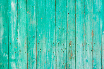 Fototapeta na wymiar Background from wooden vertical planks, painted in a beautiful light green color, a little shabby, nailed with old rusted nails