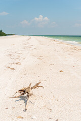 Fototapeta na wymiar An almost deserted beach on Marco Island, Florida
