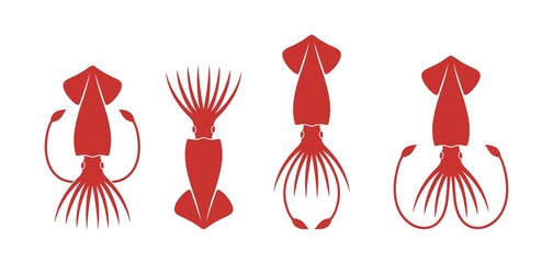 Squid logo. Isolated squid on white background - obrazy, fototapety, plakaty