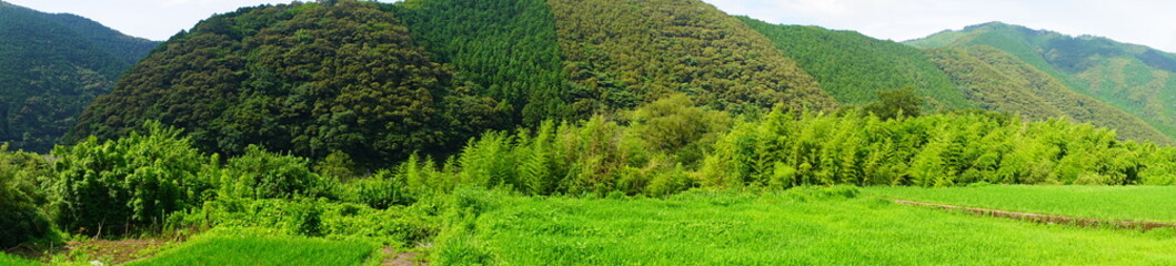 Fototapeta na wymiar Rural Landscape over Mountain range in Kochi, Shikoku, Japan - 日本 四国 高知 田園風景