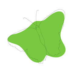 Line drawing butterfly
