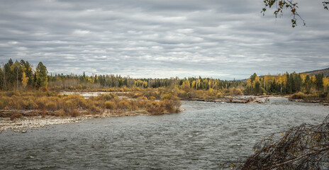 Autumn natural landscape. A fast river with a stony shore, a forest with yellow trees and a cloudy sky