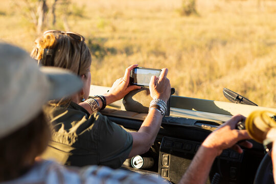 Adult woman taking smart phone image from safari vehicle, Okavango Delta, Botswana.