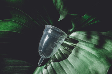 Transparent silicone menstrual cup on a background of green leaves.feminine health and alternative hygiene.zero waste,reusable,menstruation. Ecofriendly, sustainable, ecological.