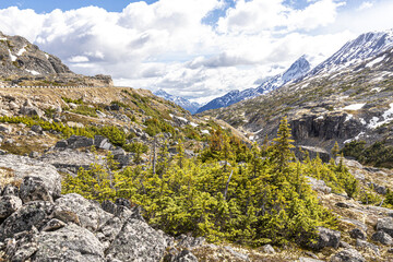 A view in early June on the Canada/USA border beside the Klondike Highway NE of Skagway, Alaska, USA
