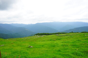 Naklejka premium Beautiful Outdoor Green Field View of Shikoku Karst Natural Park in Kochi, Shikoku, Japan - 日本 高知県 四国カルスト 姫鶴平の高原 