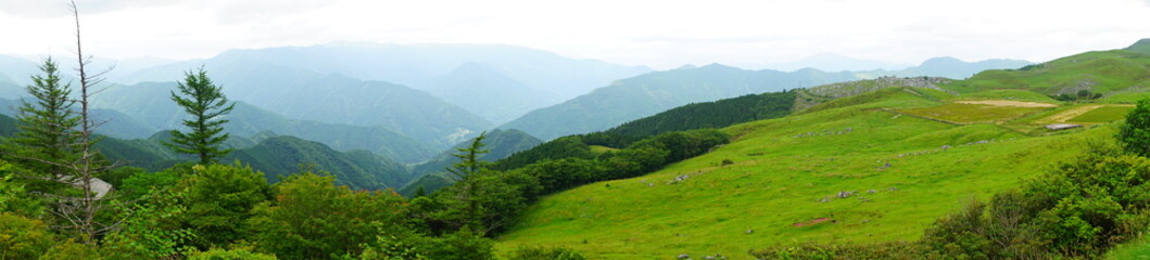 Beautiful Outdoor Green Field View of Shikoku Karst Natural Park in Kochi, Shikoku, Japan - 日本 高知県 四国カルスト 姫鶴平の高原	