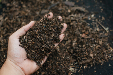 Farmer holding pile of compost Soil (Peat moss, Fertilizer). Agriculture, organic gardening, planting or ecology concept. Environmental, earth day. Banner. Top view. Copy space. 