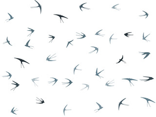 Flying martlet birds silhouettes vector illustration. Nomadic martlets bevy isolated on white.