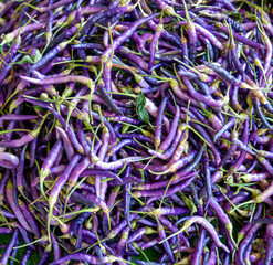 Gemüsemarkt und Blau Pfeffer Chillis, Muratpasa, Antalya, Türkei