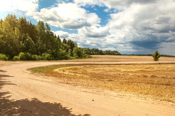 A dirt road turns into a field.