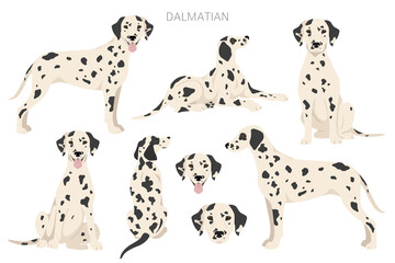 Dalmatian dogs clipart. Different poses, coat colors set