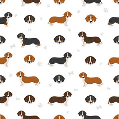 Drever seamless pattern. Different poses, coat colors set