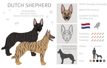 Dutch shepherd clipart. Different poses, coat colors set