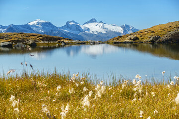 Gebirgssee mit Spiegelung eines Gletschers im Zillertal in Tirol