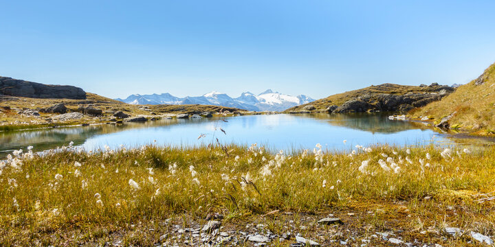 Panorama von einem Bergsee mit Wollgras und Blick zum Gletscher im Zillertal