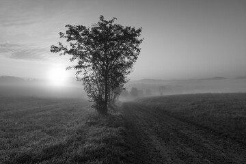 Sonnenaufgang in der Sächsischen Schweiz bei Lichtenhain