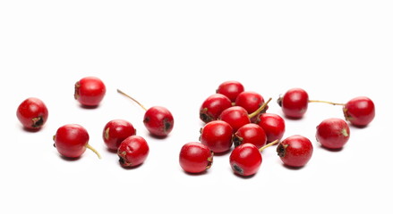 Red fruit, (Crataegus monogyna) common hawthorn, oneseed hawthorn or single-seeded berries isolated on white background 