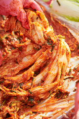 Making Korean Traditional Kimchi