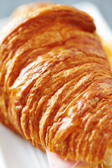 Croissant Cheese Sandwich on a Plate 