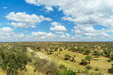 Obraz premium The magnificent scenery of Tarangire National Park in Tanzania, where the blue sky, big clouds and the earth continue endlessly