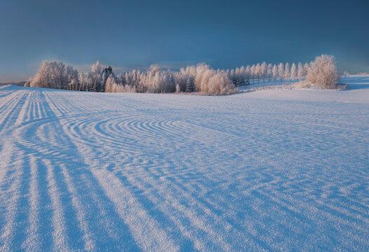 Winter landscape, pattern of ridges on a snow-covered field made by farm machinery ploughing.