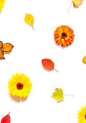 Colorful Autumn leaves and calendula flowers composition on the white background. Top view