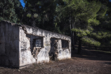 Sommer auf dem Monte Pellegrino Berg bei Palermo