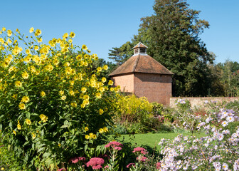 Naklejka premium Colourful flowes growing in the borders at Eastcote House historic walled garden in the Borough of Hillingdon, London, UK. Photographed on a sunny summer's day.